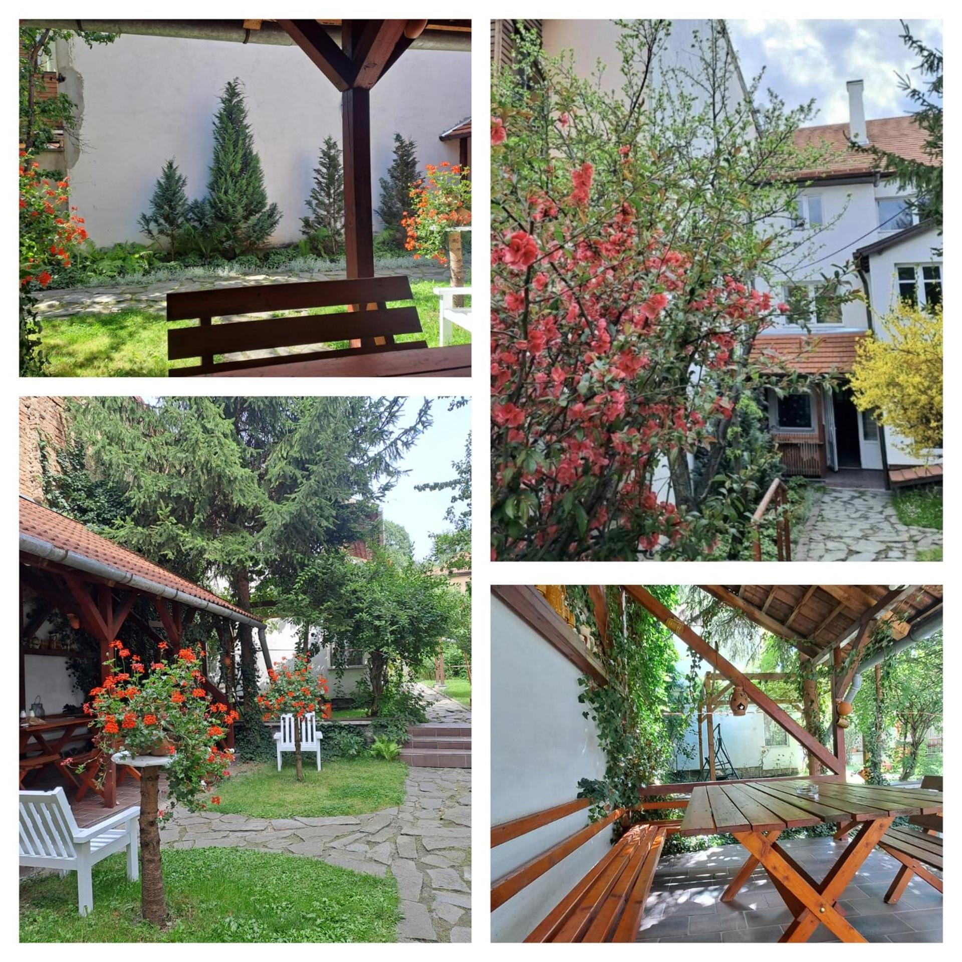 7 Level Panzio, Ultra Central, Self Check-In, Self-Catering Hotell Miercurea Ciuc Exteriör bild