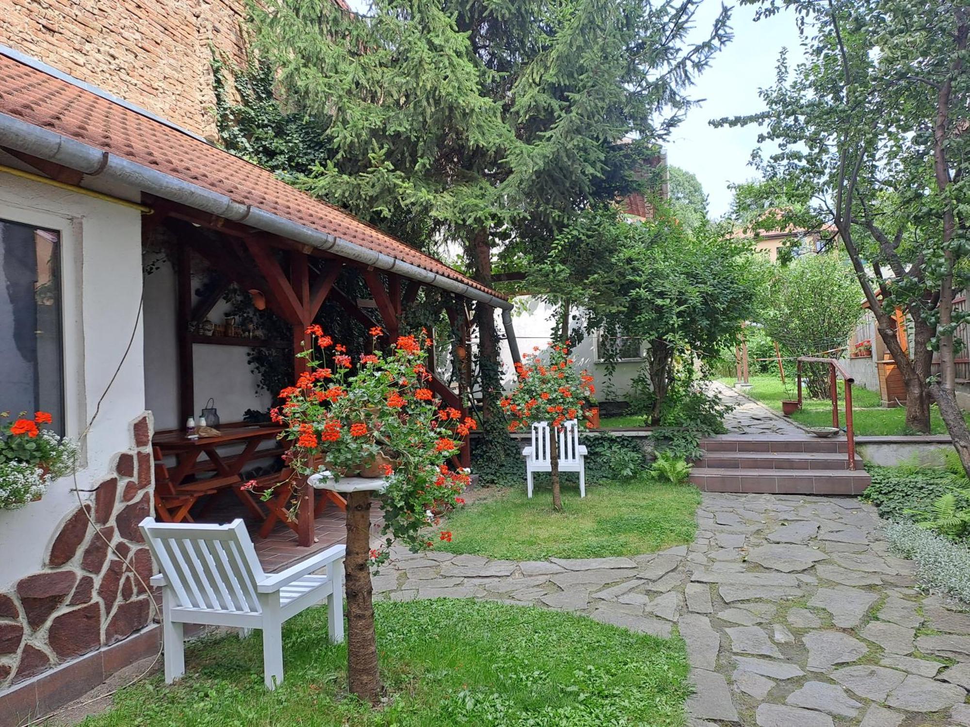 7 Level Panzio, Ultra Central, Self Check-In, Self-Catering Hotell Miercurea Ciuc Exteriör bild